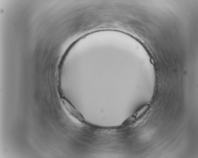 X0000088211519200706121752