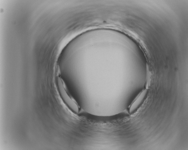 X0000088211520200706121753