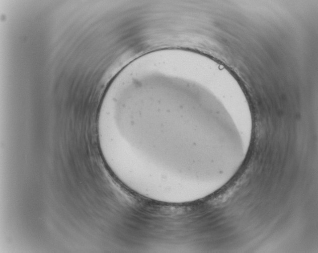 X0000088211521200706121753