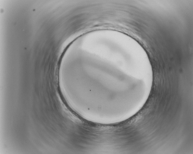 X0000088211522200706121753