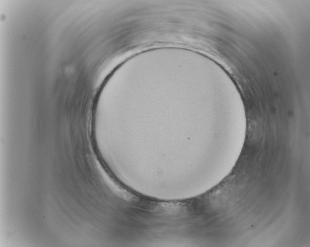 X0000088211523200706121753