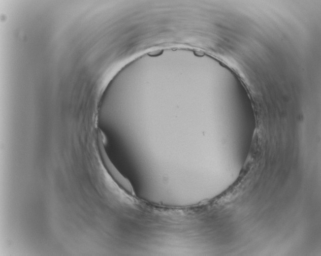 X0000088211524200706121753