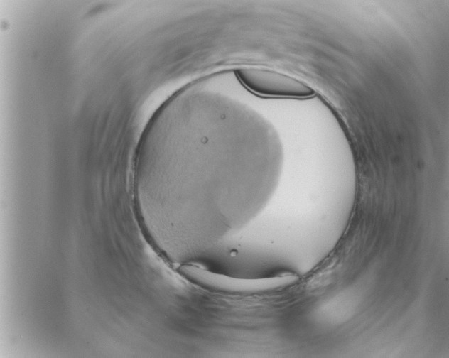 X0000088211527200706121753