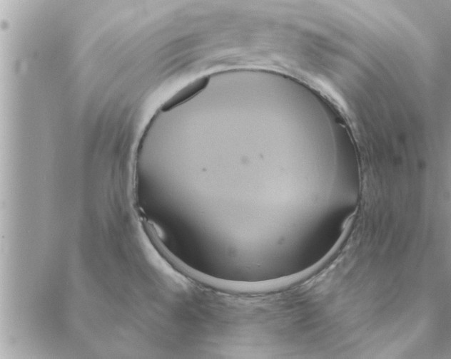 X0000088211528200706121753