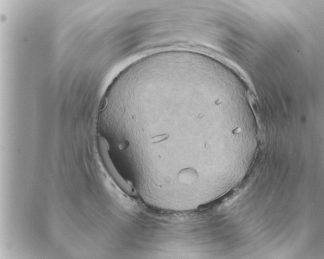 X0000088211530200706121753