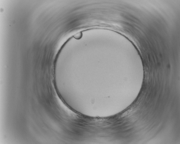 X0000088211531200706121753