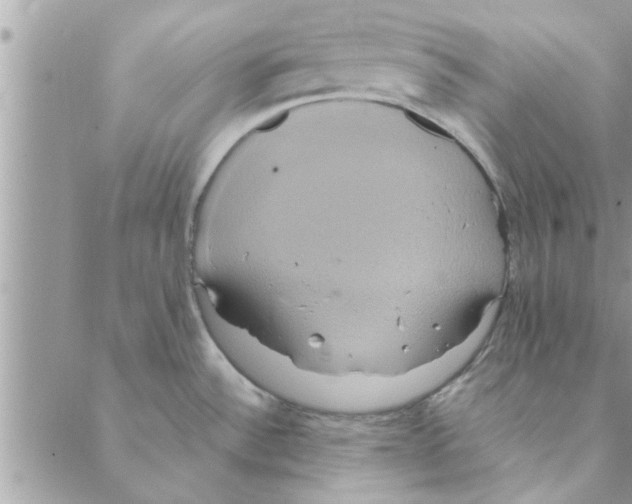 X0000088211532200706121753