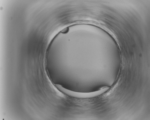 X0000088211533200706121753