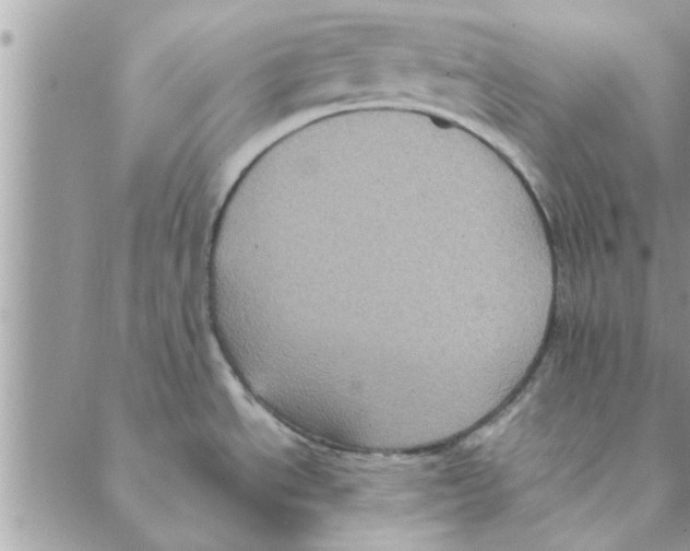 X0000088211534200706121753