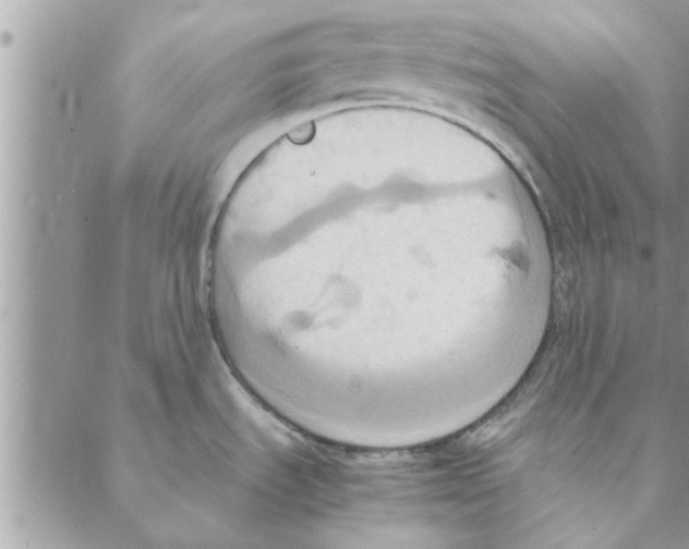 X0000088211535200706121753