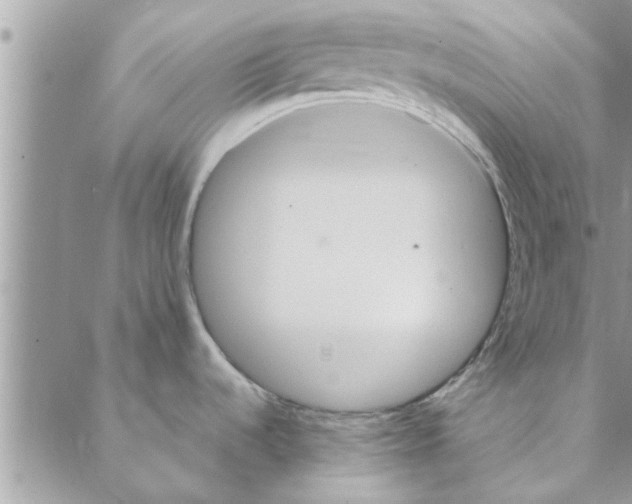 X0000088211536200706121753