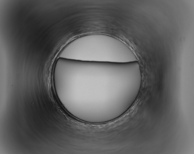 X0000088220002200705151038