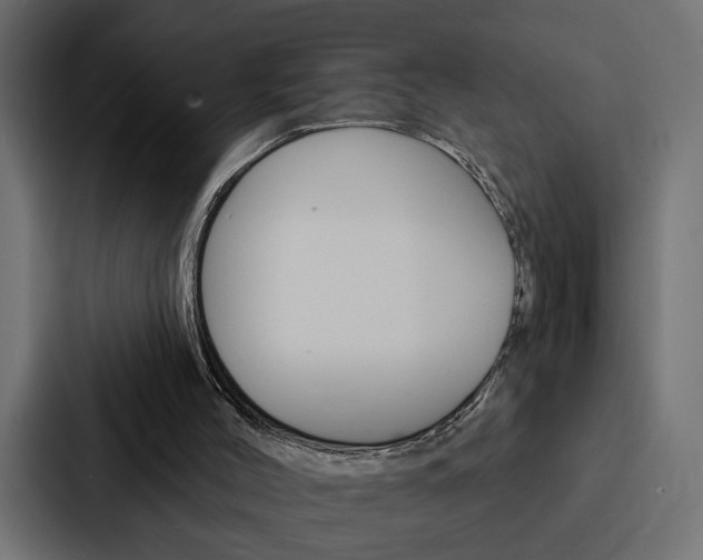 X0000088220004200705151038
