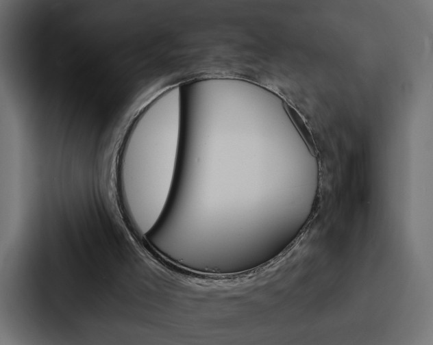 X0000088220005200705151038