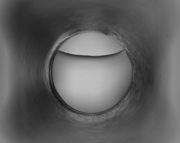 X0000088220006200705151038