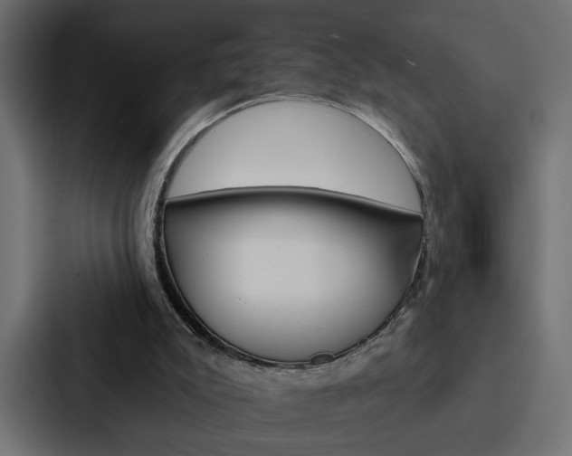 X0000088220007200705151038