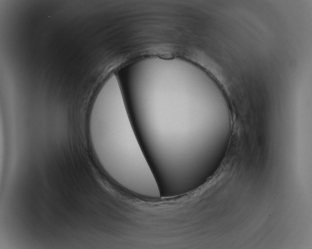 X0000088220013200705151038
