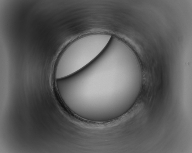 X0000088220015200705151038