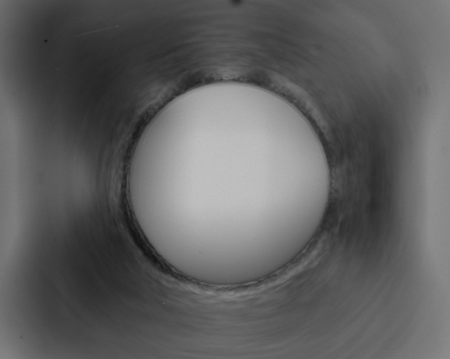 X0000088220018200705151038