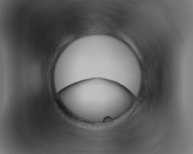 X0000088220019200705151038