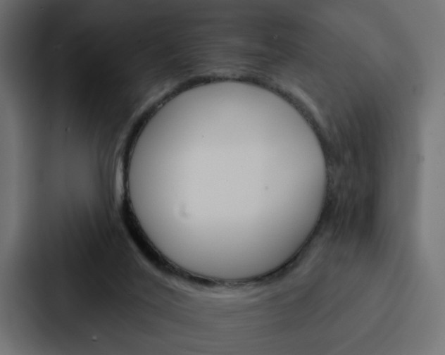 X0000088220020200705151038