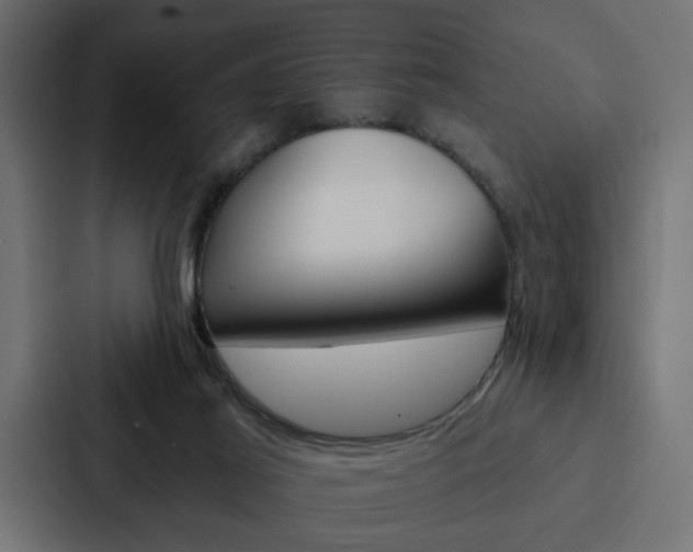 X0000088220021200705151038