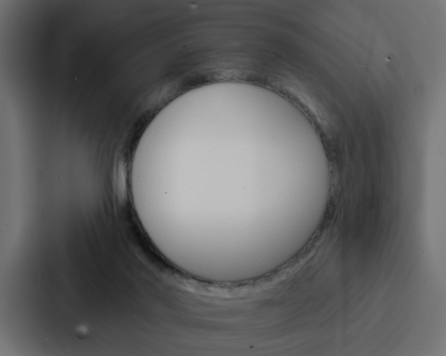 X0000088220022200705151038