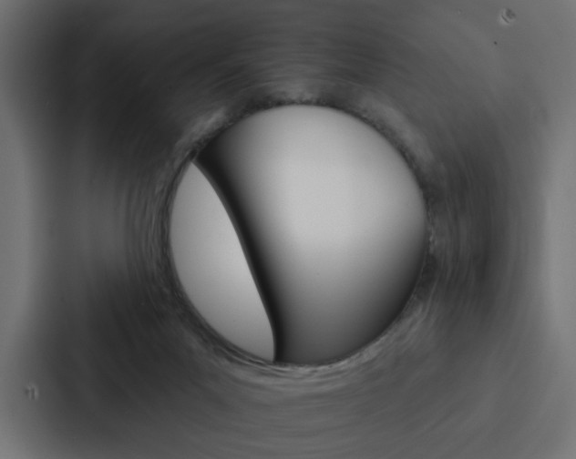 X0000088220023200705151038