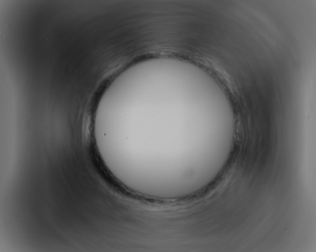 X0000088220024200705151038