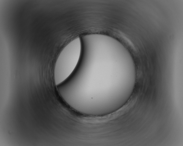 X0000088220025200705151038