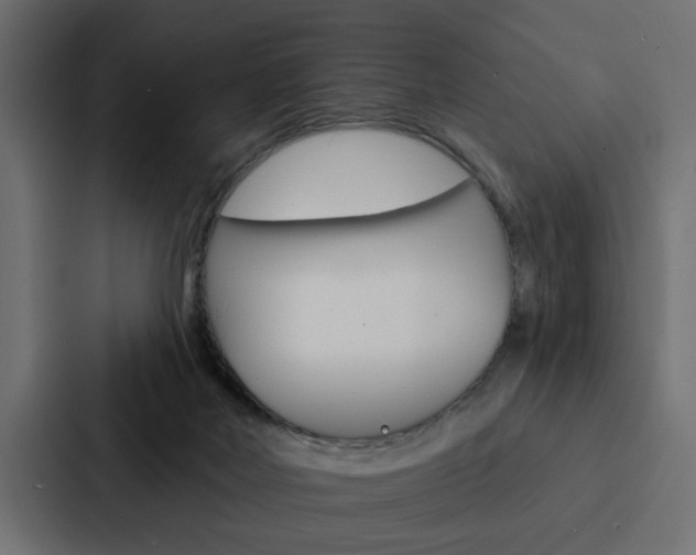 X0000088220026200705151038