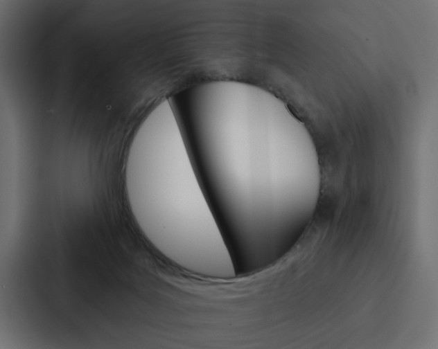 X0000088220027200705151038