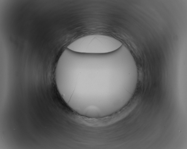 X0000088220030200705151038