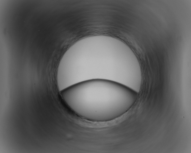 X0000088220031200705151038
