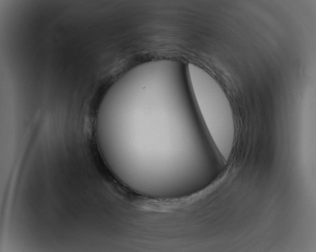 X0000088220033200705151038