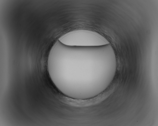 X0000088220034200705151038