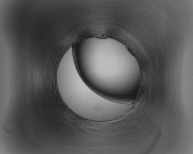 X0000088220037200705151038