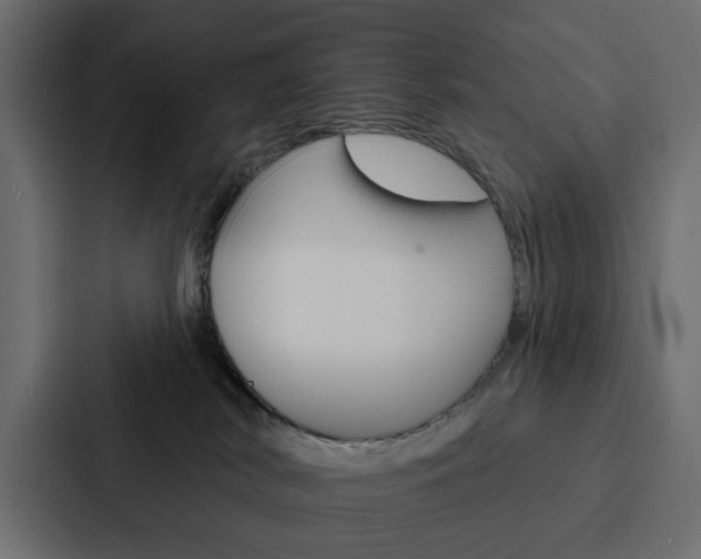 X0000088220038200705151038