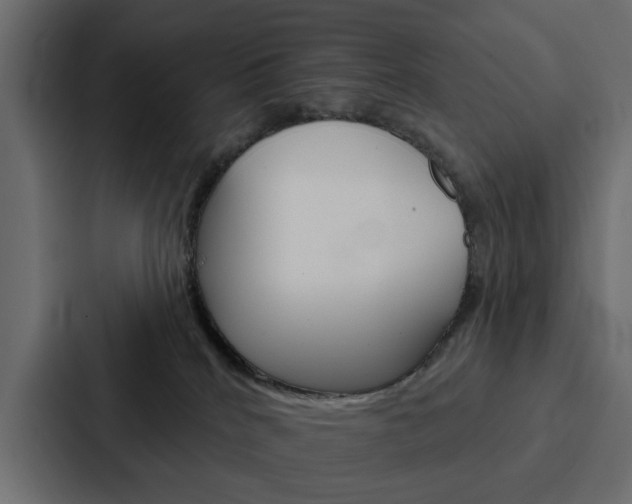 X0000088220040200705151038