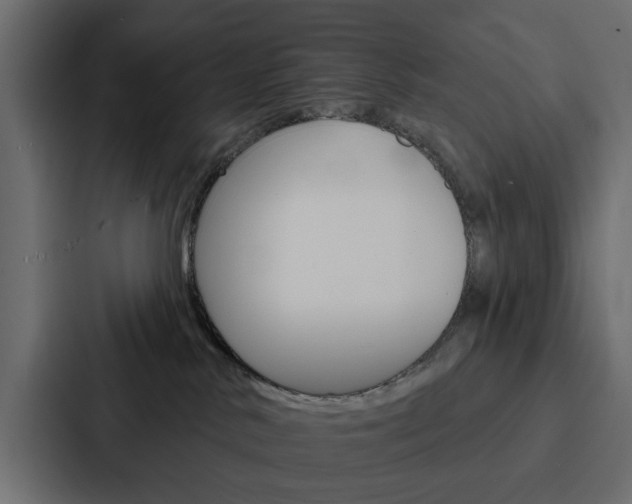 X0000088220042200705151038