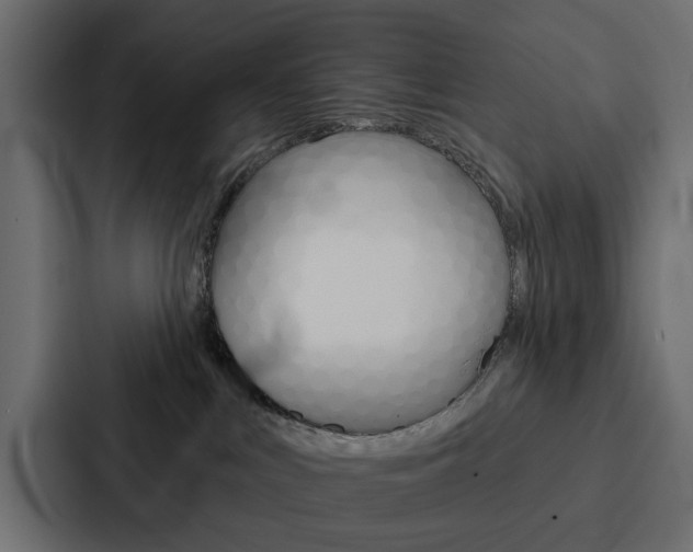 X0000088220043200705151038