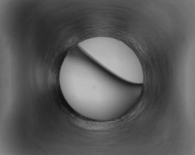 X0000088220044200705151038