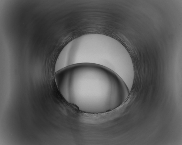 X0000088220045200705151038