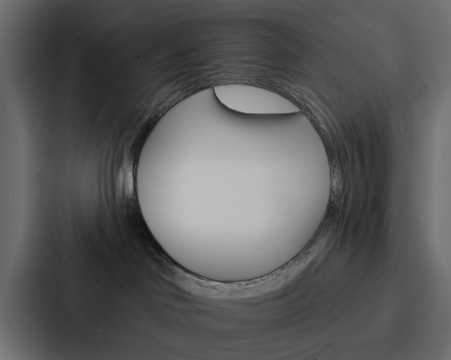 X0000088220046200705151037