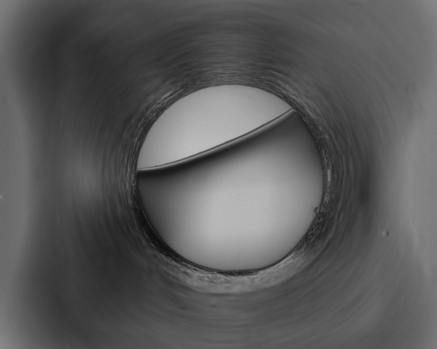X0000088220048200705151037