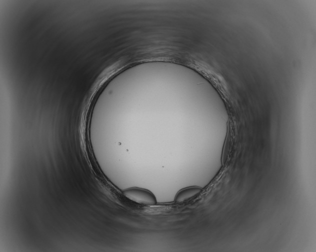X0000088220051200705151037