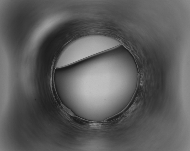 X0000088220052200705151037