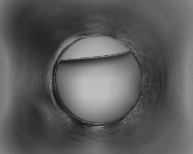 X0000088220054200705151037
