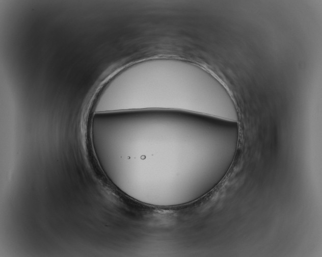 X0000088220055200705151037