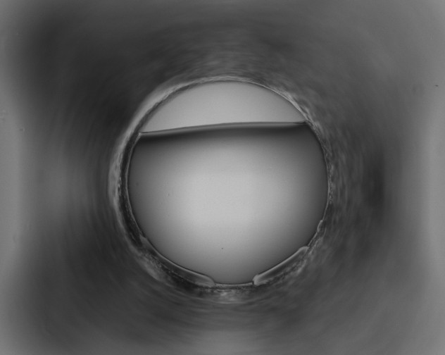 X0000088220056200705151037